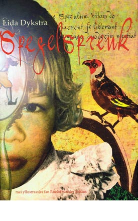 Voorkant boek